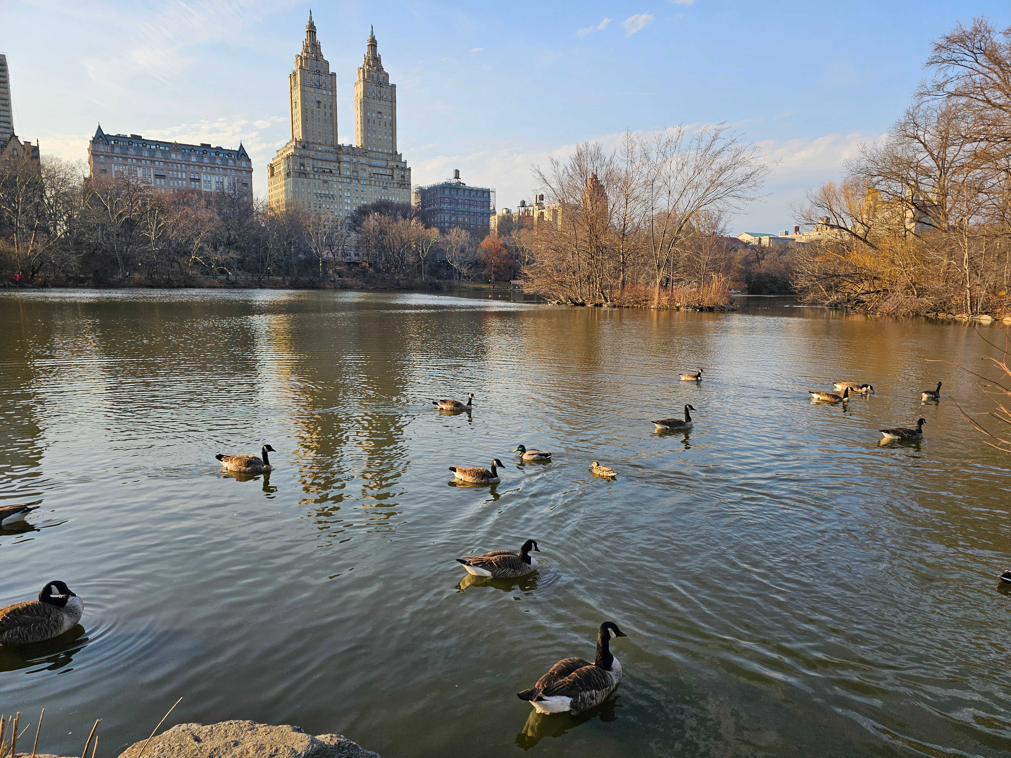New York